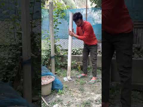 āĻāĻŽāĻžāϰ āĻŽāĻžāĻā§āϰ āĻā§āϝāĻžāĻāĻā§āϰ āĻĒāĻžāĻāĻĒā§āϰ āĻā§āϤāϰ āĻāĻž*āĻĻā§ āĻāĻā§ đą #fishtank #fish