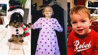 FUNNY CHRISTMAS VIDEOS