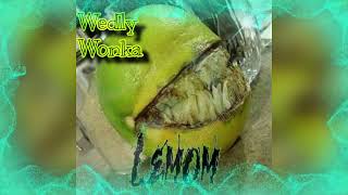 Wedly Wonka - Lemom
