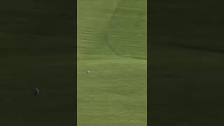 Greatest Shots from Bad Lies Part 10 #Tigerwoods #Golf #PGA #shorts