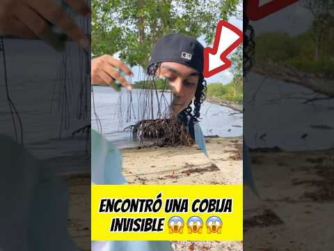 Encontramos una cobija invisible 😱😱🚨No creeras el final 😱😱