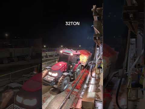 TRAKTÖR KAYINCA 32 TON DOMATES RÖMORKU AZ KALSIN DEVRİLECEKDİ