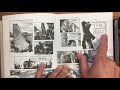 Understanding Graphic Narratives