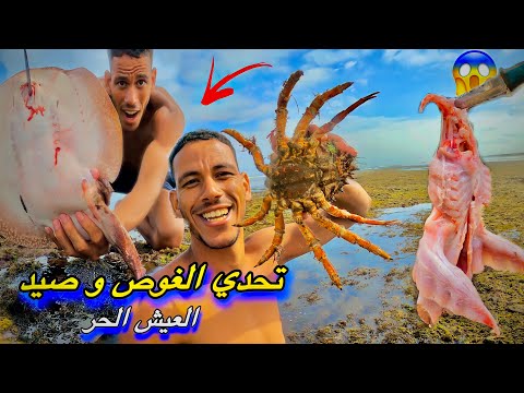 حياة البرية: تحدي الغوص و صيد في أعماق البحر مهجور 🤿صراع البقاء (صيد وطبخ )🐠🤯