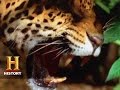 Gold Exploration Challenges in Guyana