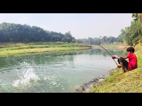 Amazing Big Fish Hook Fishing in River #fishing