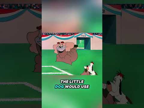 A big dog can't even cheat in a race to beat a small dog.