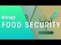 Exploring Global Food Security Challenges