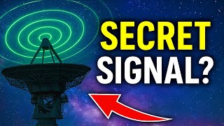 Project Epsilon - The Signals That Shouldn’t Exist