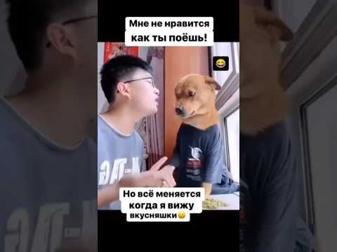 кому медведь на ухо наступил?