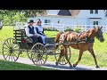 Understanding Amish Culture and Lifestyle