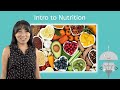 Understanding Nutrition and Digestion Concepts