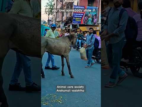 #love somebody show it #foryou #shortsfeed#horse#help#13million #youtubeshorts #viralvideo#animals