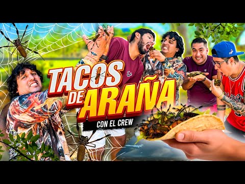 Los tacos más exóticos que hemos probado con el crew | qué tal saben ?