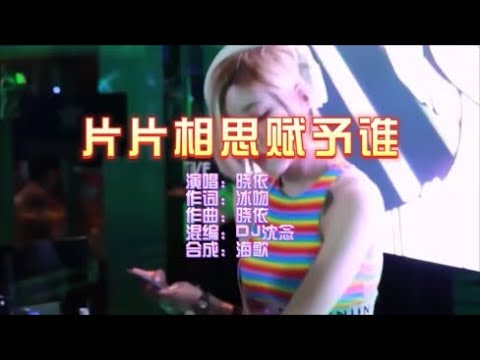 晓依 《片片相思赋予谁》DJ沈念版 KTV 导唱字幕 （备有伴奏视频）