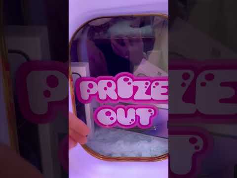 Grand Prize Claw Machine Challenge 18 #arcadegame