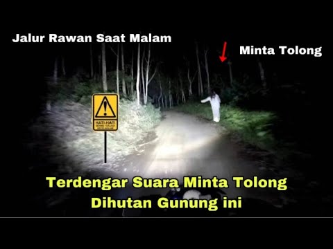 KAGET ADA YANG MINTA TOLONG DITENGAH HUTAN‼️ MOTORAN DITENGAH HUTAN JALUR RAWAN MALAM ALAS PURWO 😱😭