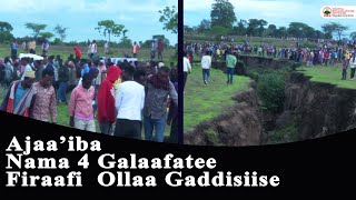 Taatee Ajaa'ibaa namoota 4 galaafate