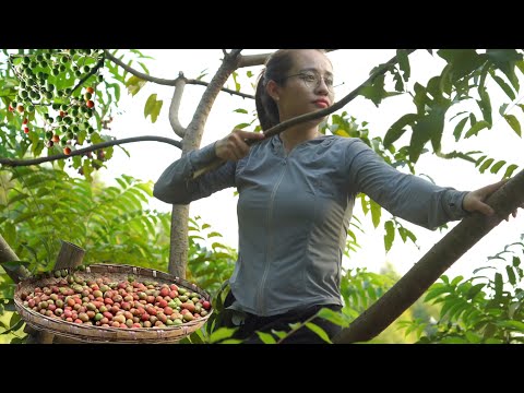 How to enjoy and process strawberry to make soft drink