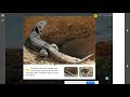 Desert Ecosystems and Adaptations