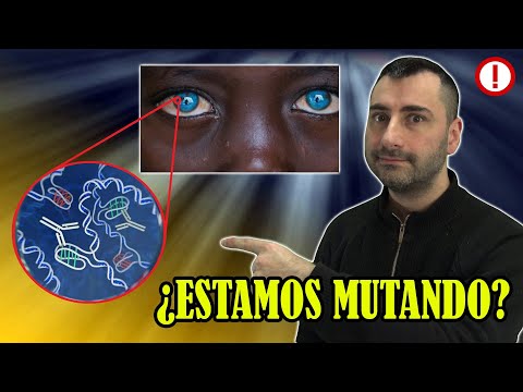 Algo Muy Raro le Está Pasando al SER HUMANO