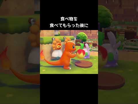 天気を変えるには【ぽこあポケモン】#てるてるポワルン#ヒトカゲ#晴れ#雨