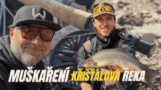 Vzdal jsem to? Pravda o mých začátcích s muškou. 🙂 Jak začít s muškařením? 🎣