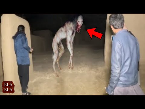 أقوى 10 مشاهد مرعبة صورتها عدسات الكاميرا سنة 2023 ! بلابلا
