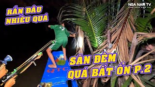 Chuyến Săn Đêm Bất Ổn, Săn Cò Đêm Gặp Rắn Liên Tục Bị Ong Tấn Công Cười Lộn Ruột P.2/NGÃ NĂM TV