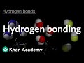 Understanding Hydrogen Bonds