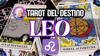 LEO HOY ♌️ TU INTUICIÓN ES LA CLAVE... Y TODO COMIENZA A BRILLAR ✨ | Tarot del Destino #leo