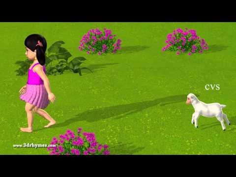 Mary had a Little Lamb - 3D Animation English Nursery rhyme for children with lyrics