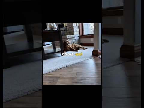 The Saddest Goodbye Ever