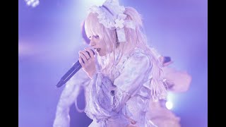 結核シンデレラ / UNtoinette【LIVE MV】