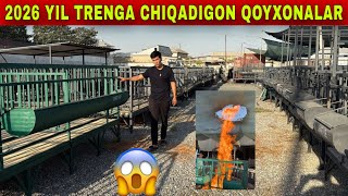 REKORD ARZON KAMFORD QOYXONALAR BUNAQASI BOLMAGAN