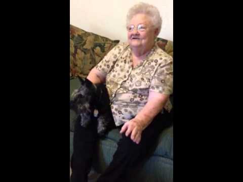 Oklahoma Tornado Survivor Reunites With Lost Dog├óΓé¼┬ª And Needs UR Help!