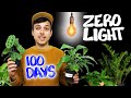 Plant Care Experiment Insights