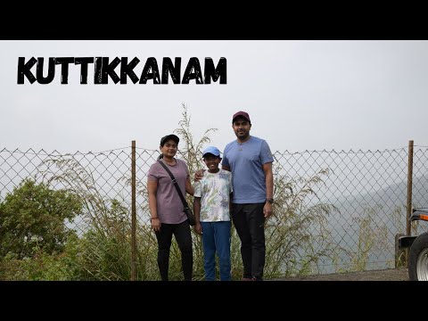 Kuttikkanam Vlog Part 1 | Misty Mountain Resort #kerala #tourism #travel