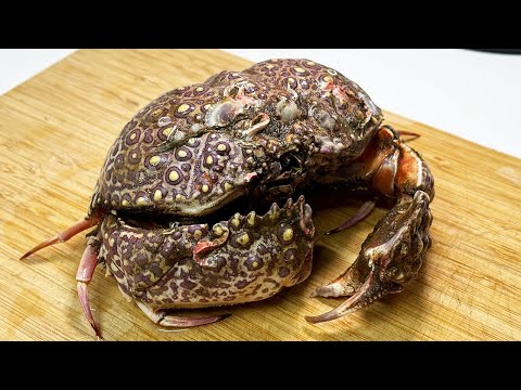 水族館の人気者ヤマトカラッパを食べてみた