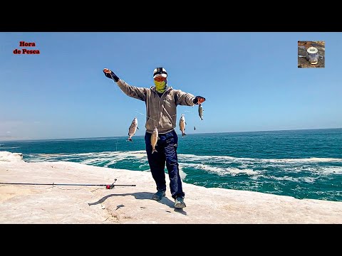 El sabiki. Un aparejo para pescar sin carnada. || Best fishing tackle.