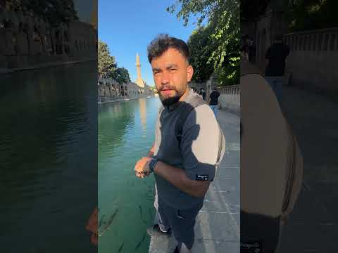 Balıklıgöl’de Serpme Denemesi! Sonuç Şaşırtıcı