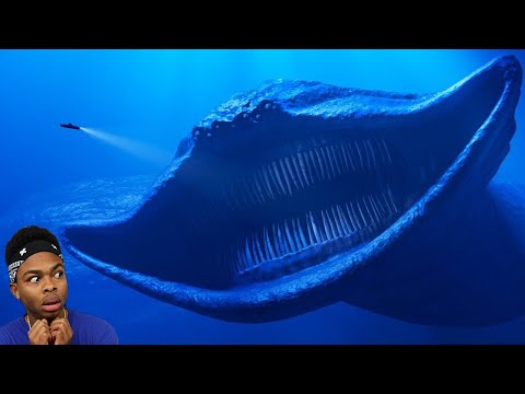 Terrifying Sea Creatures Caught On Camera Experts Can't Explain