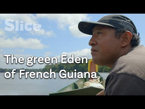 YouTube video thumbnail: Balancing Preservation and Development: French Guiana