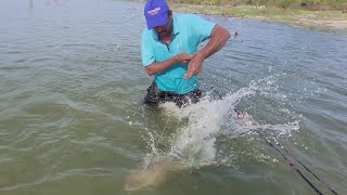Fishing Adventure🎣 Catching Rohu Fishes in Style in Krishna River 