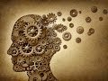 Exploring Social Psychology Concepts