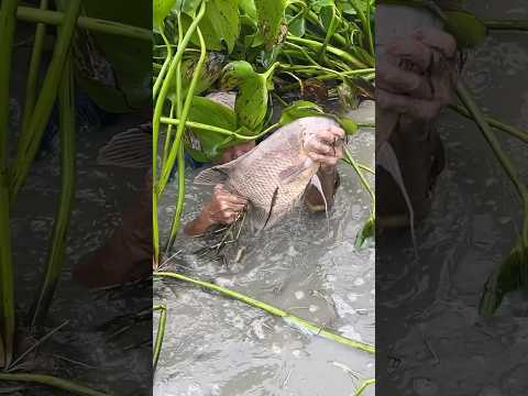 Amazing fisherman skills that are on another level!