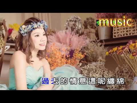 心愛的我想你 (台語) 田佩樺KTV 伴奏 no vocal 無人聲 music 純音樂 karaoke 卡拉OK 伴唱心愛的我想你 (台語) 田佩樺