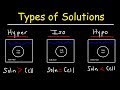 Cell Solutions and Water Movement