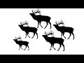 Elk Population and Scientific Inference