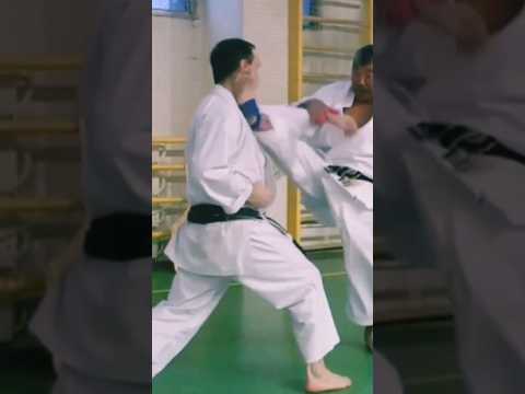Gyaku Mikazuki geri #karate #martialarts